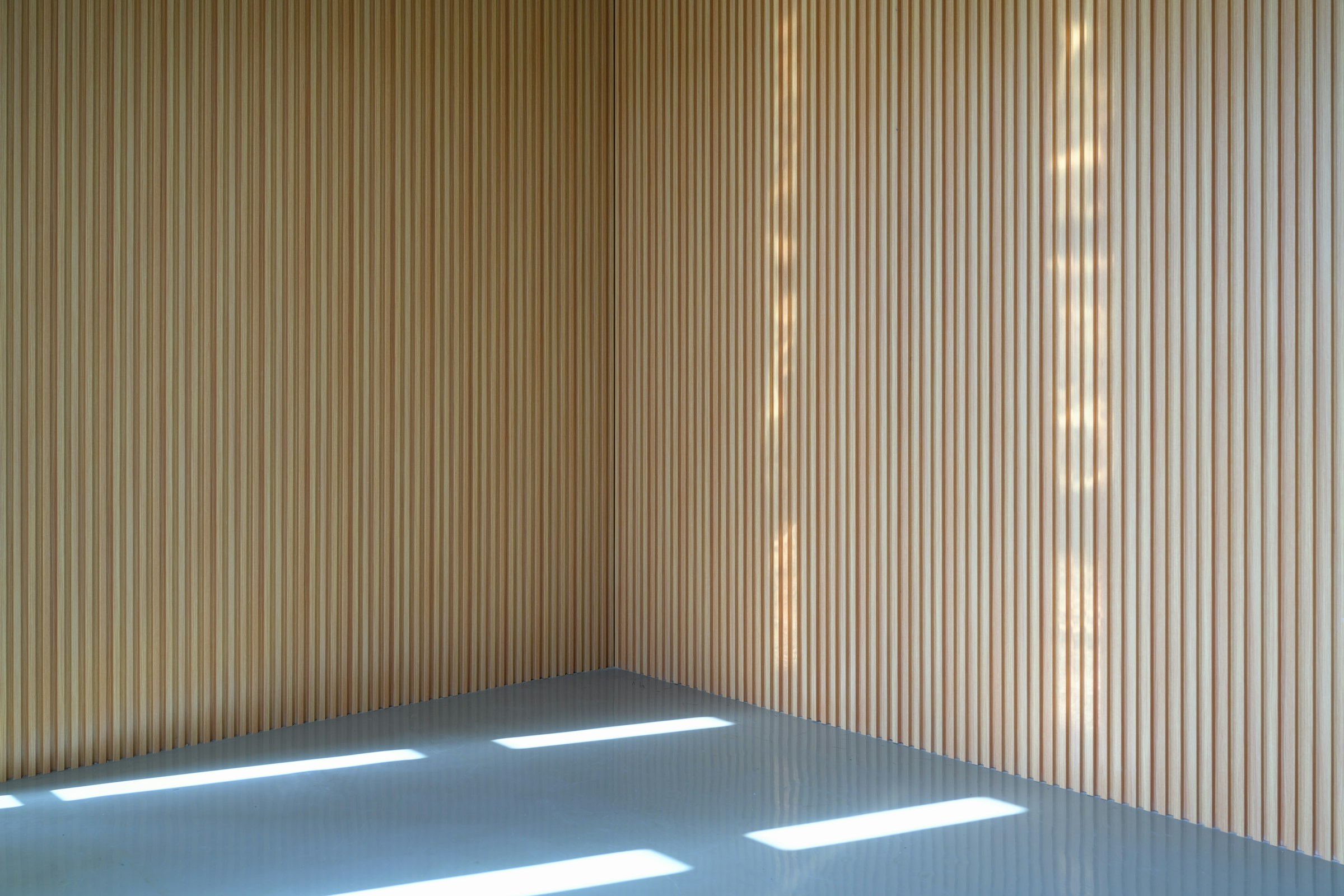 Warm timber slats lit by soft daylight